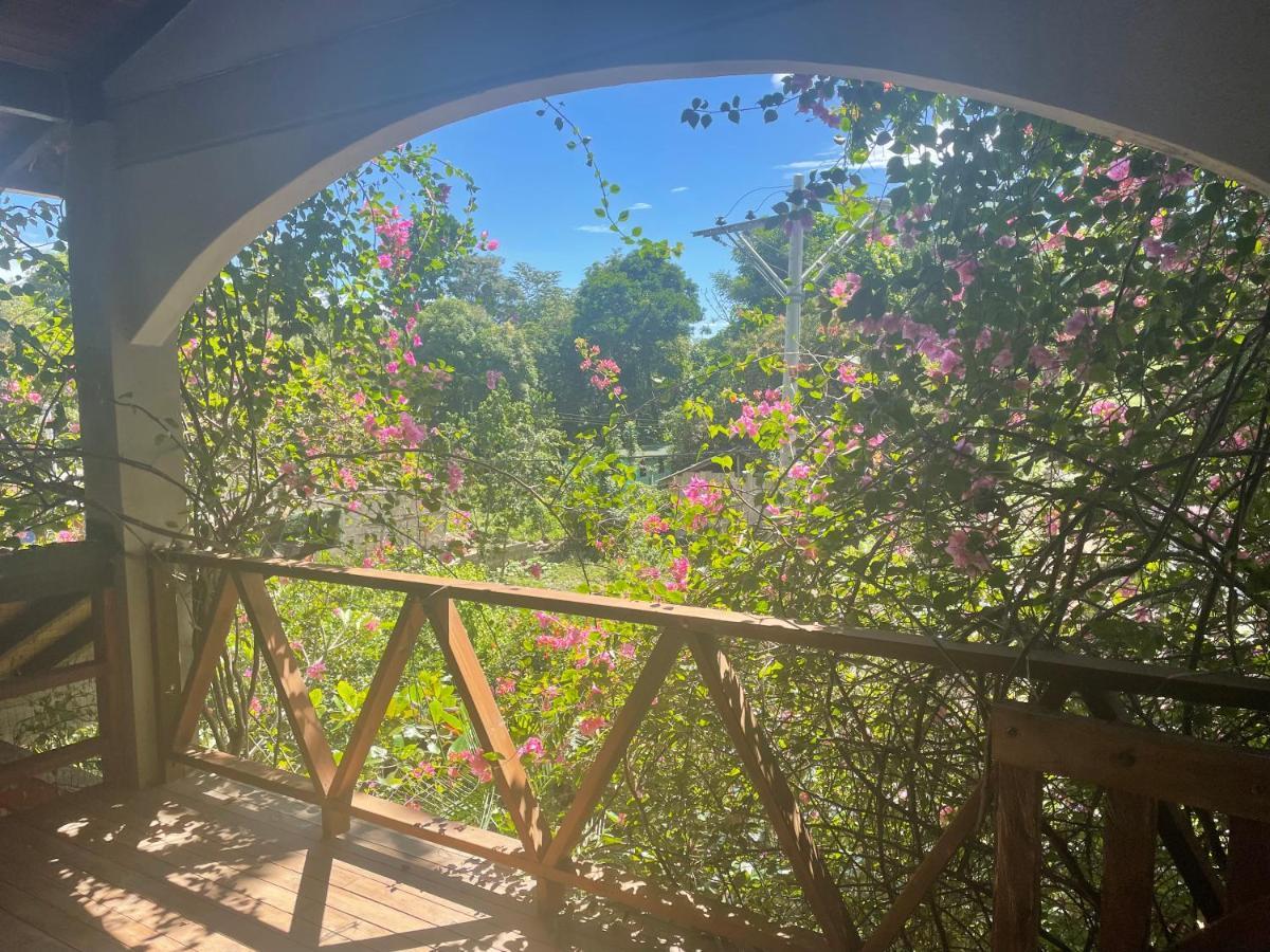 Cabanas Tucan Eco Hotel Capurganá Eksteriør bilde