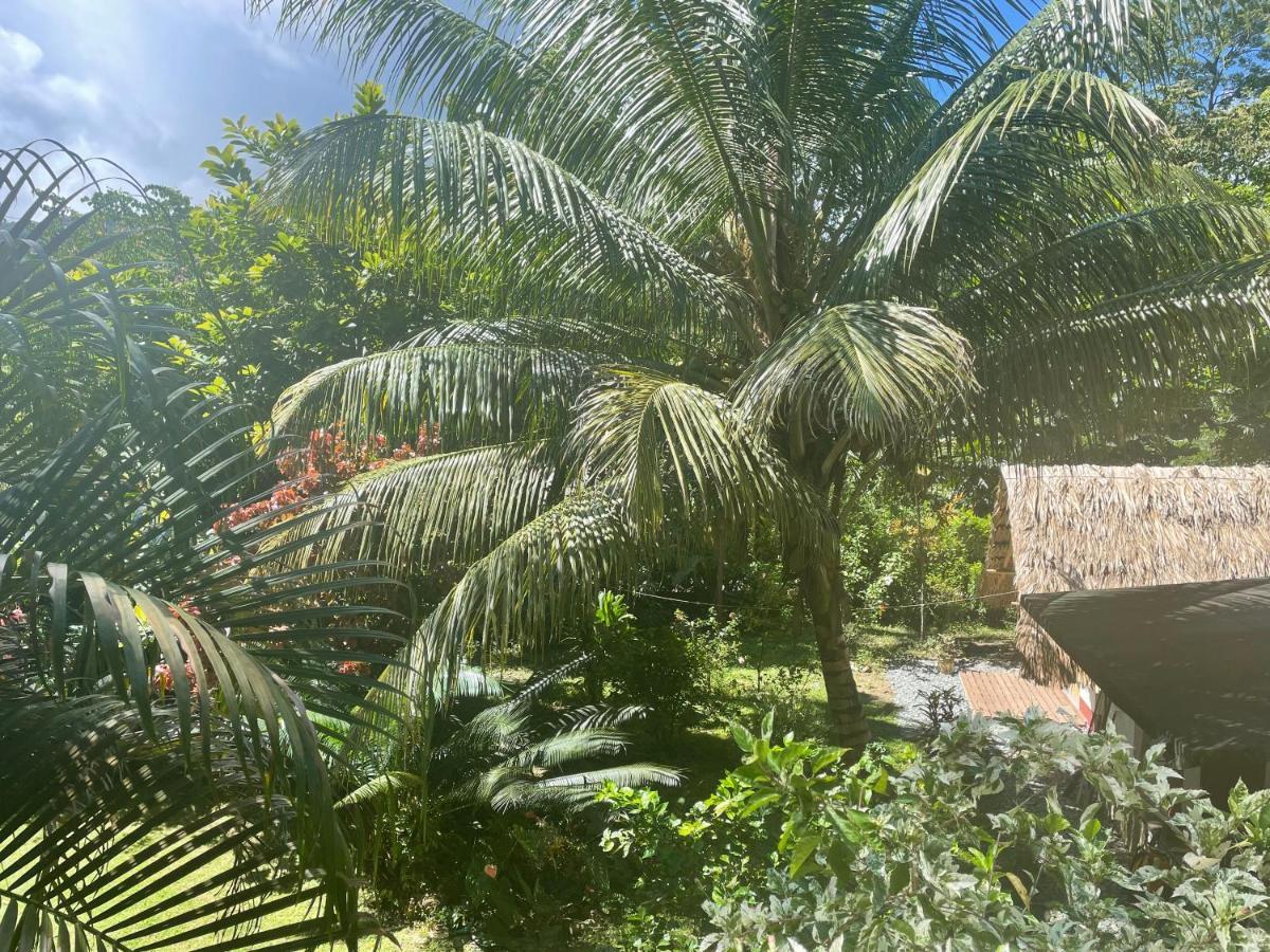 Cabanas Tucan Eco Hotel Capurganá Eksteriør bilde